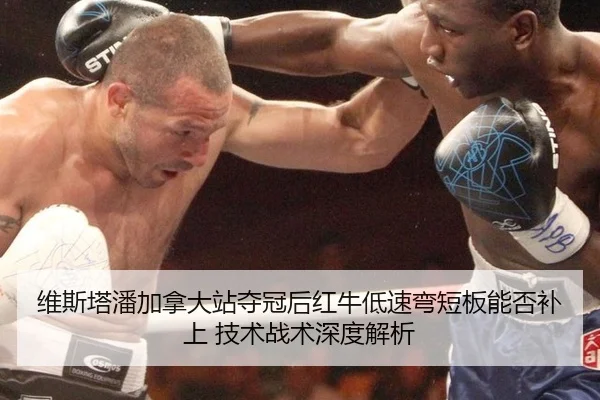 wei-si-ta-pan-jia-na-da-zhan-duo-guan-hou-hong-niu-di-su-wan-duan-ban-neng-fou-bu-shang-ji-shu-zhan-shu-shen-du-jie-xi-2-360.jpg